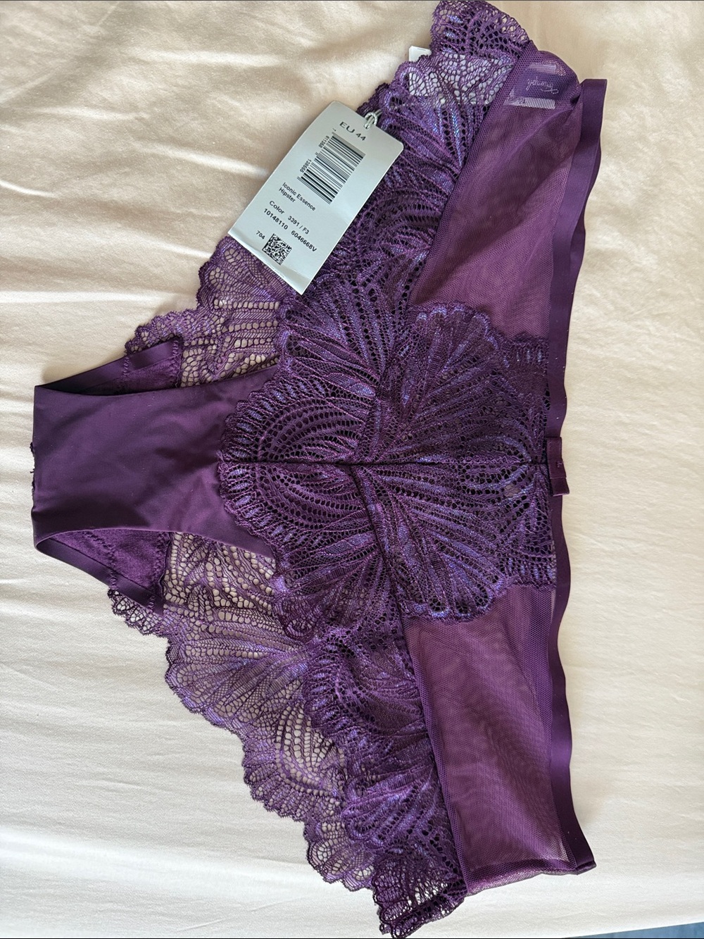 Triumph Purple Lace Hipster Panty